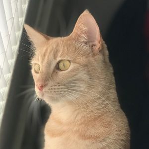 Meet your Posher, Marlene